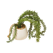 Hangende plant in keramische pot