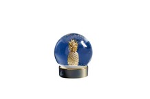 Sneeuwbol met ananas