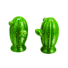 Cactus zout en peper set