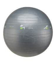 Fitnessbal