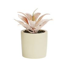 Plantenpot