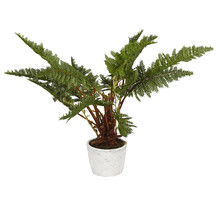 Plant met grijze stenen pot