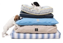 Honden bedjes