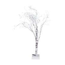 Kleine witte boom