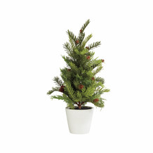 Kleine kerstboom