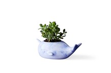 Plantenpot in vorm van een walvis