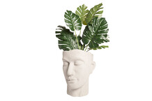 Plantenpot in de vorm van een hoofd