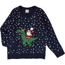 Kids kerst trui