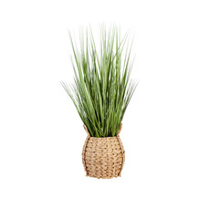 Plant in mand