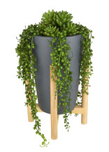 Kunstplant in houten standaard