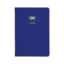Notitieboek blauw