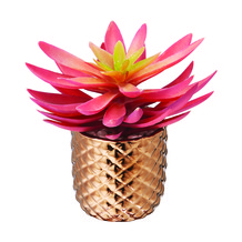 Koperen Vaas met Plant