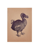 Dodo notitieboekje