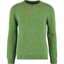 Groene trui