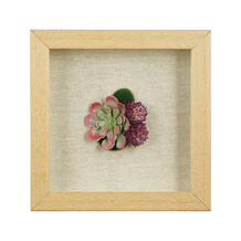 Vetplant in houten frame