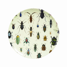 Bord met kevers