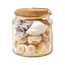 Glazen pot met schelpen