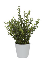 Kunstplant