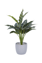 Kuntstplant