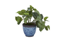 Kuntstplant