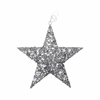 Zilveren ster