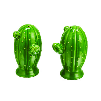 Cactus zout en peper set