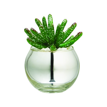 Mini cactus met glitter