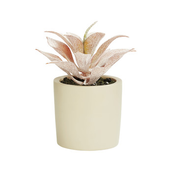Plantenpot