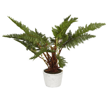 Plant met grijze stenen pot