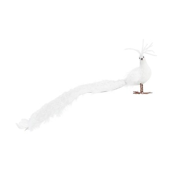Witte pauw