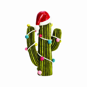 Cactus met kerstmuts