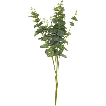 Kunst eucalyptus plant