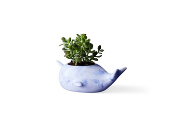 Plantenpot in vorm van een walvis