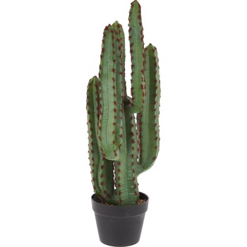 Kunstcactus
