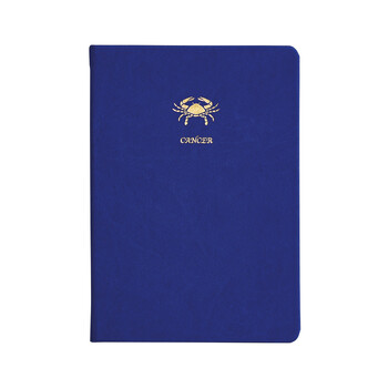 Notitieboek blauw