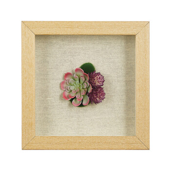 Vetplant in houten frame