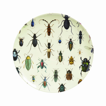 Bord met kevers