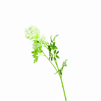 Hennepplant van kunststof