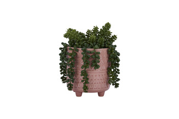 Kuntstplant