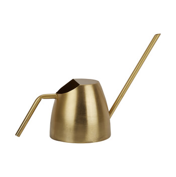 Gouden gieter