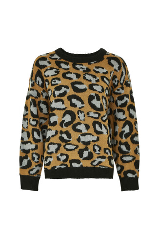 trui voor dames
